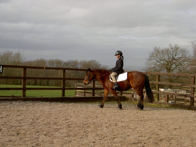  Venez rouler avec nous! 